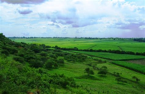 Microfranquicias Solidarias De Occidente El Valle Del Cauca Un Departamento Con Gran Proyección