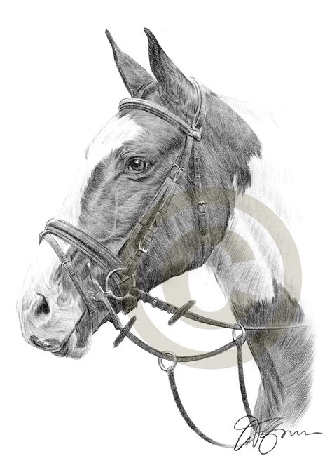 Awesome Drawings Of Horses
