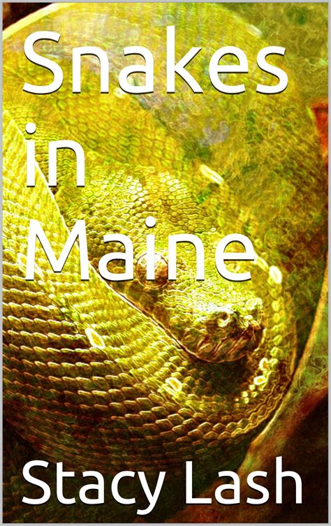 Snakes In Maine By Stacy Lash Goodreads