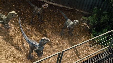 Jw Raptors Jurassic Pedia