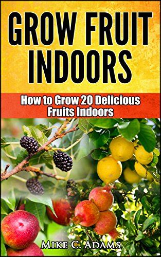 grow fruits indoors how to grow 20 fruit trees and plants indoors a beginners gardening guide