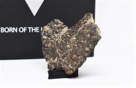 Meteorite Cv3 Nwa Unclassified Carbonaceous Chondrites Etsy In 2022