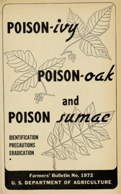 Usda Farmers Bulletin No 1972 Poison Ivy Poison Oak And Poison