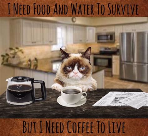 Grumpy Cat Needs Coffee