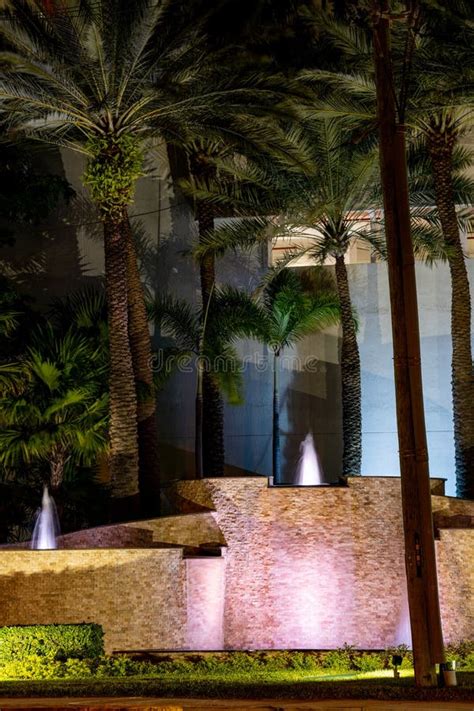 Night Long Exposure Photo Of Palm Trees And Water Fountain Stock Image Image Of Long Exposure