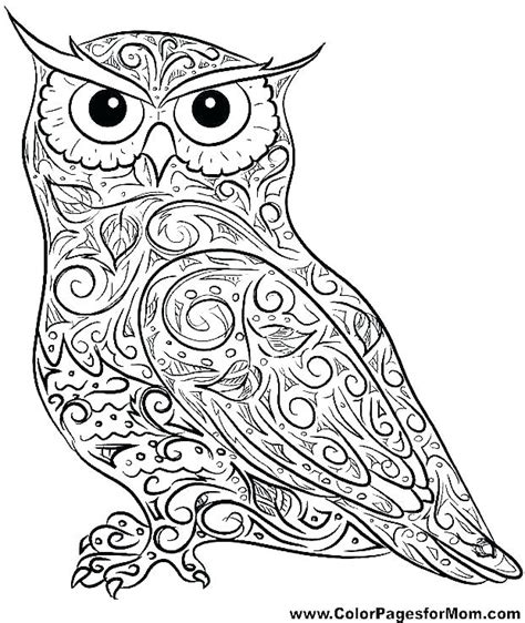 Owl Print Out Coloring Pages At Free Printable