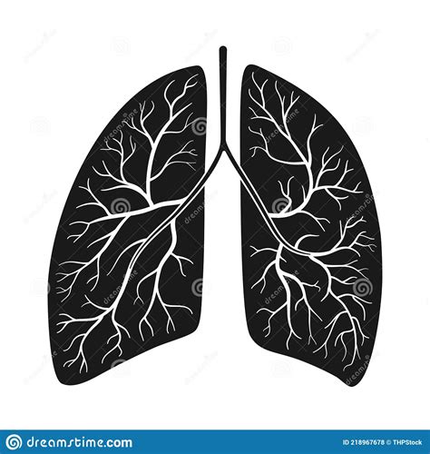 Human Lungs Vector Illustration Stock Vector Illustration Of Lungs