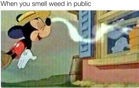 51 Memes That Ll Make Every Stoner Laugh All The Way To The Drive Thru