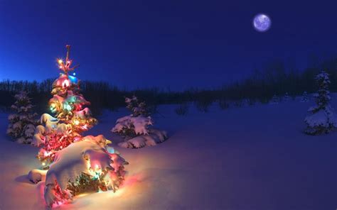 Winter Christmas Tree Wallpapers HD / Desktop and Mobile Backgrounds