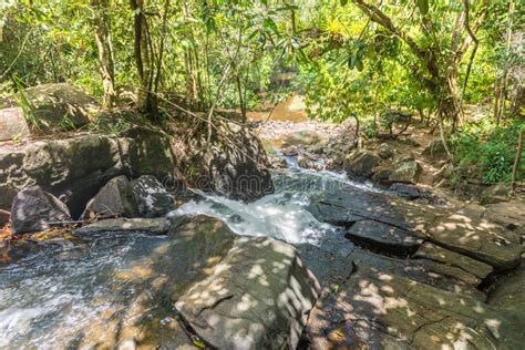 Waterfall And Clear Stream In The Green Forest Stock Photo Image Of