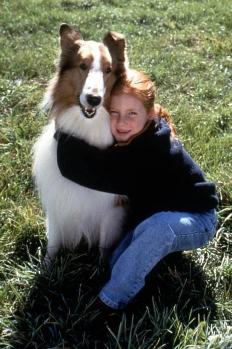 Pin On Lassie 1994