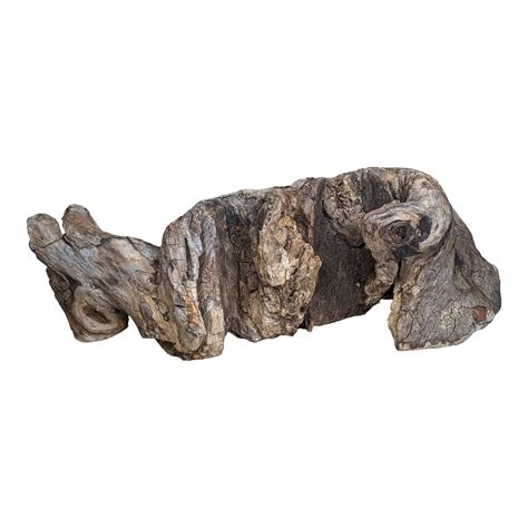 Petrified Driftwood Sculptural Tabletop Decor Chairish