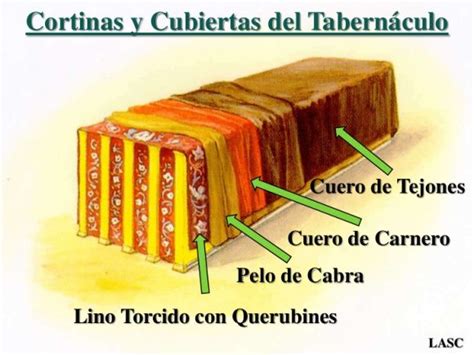 Conf Exodo 26137 Ex No 26 El Tabernaculo Y Su Estructura 25 728 Bible