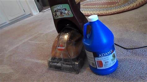 Cleaning My Carpets Using Adams Flea And Tick Shampoo Youtube