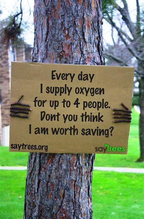 Image Result For Save The Trees Protest Signs Environmental Quotes