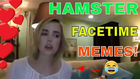 Hamster Facetime Meme Compilation Part1 Try Not To Laugh I Dare You