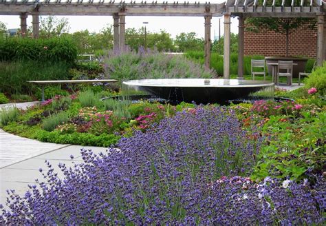 Healing Garden Healing Garden Hospital Landscape Design Benefits Of