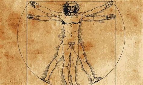 Leonardos Vitruvian Man Ideal Isnt Far Off Modern Measures