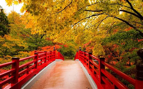 Bridge In Autumn Japanese Garden