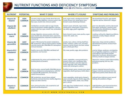 Vitamins Deficiency Symptoms Chart Write The Components Of Food And Their Functions Also Make