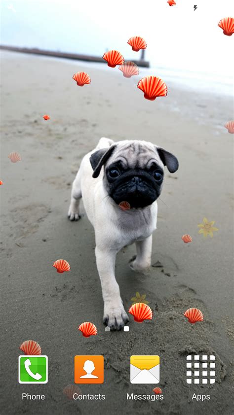 Cute Pugs Live Wallpapers Apps And Games