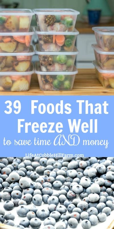 34 Foods That Freeze Well To Save Time And Money Life At Cobble