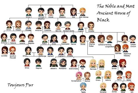 Black Family-Tree by Jey-Jey96 on DeviantArt | Harry potter family tree