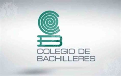 Denuncian Irregularidades En El Colegio De Bachilleres