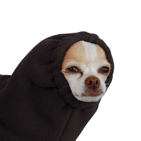 Chihuahua Dog Hood Dog Winter Hat Fleece Hood Dog Snood Etsy