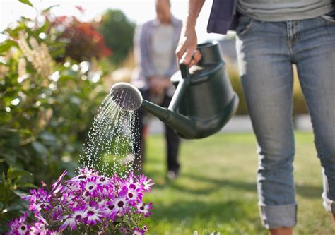 What Does It Mean To Water The Garden Green Lawn Cares