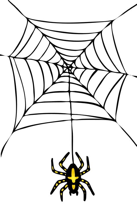 Spider Net Png Clipart Best
