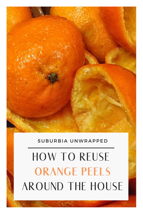 20 Creative Uses For Orange Peels Suburbia Unwrapped