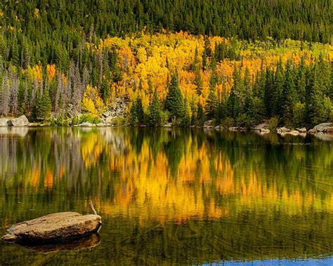 Bear Lake Aspens Reflection By Richard Hahn On Youpic