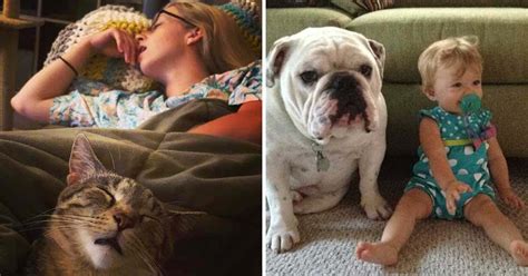 20 Hilarious Photos Where Pets Look Like Their Owners So Much