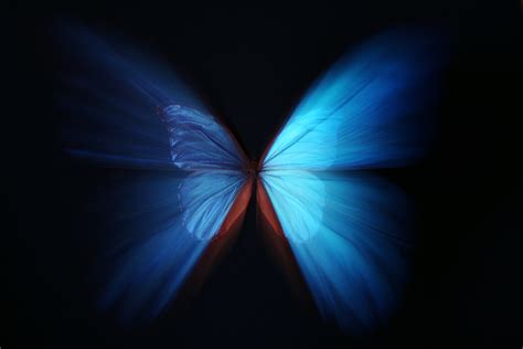 Butterfly Effect Theory