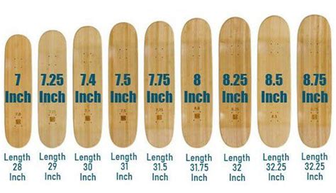 Skateboard Deck Sizes Guide 2023 Skateadvisors