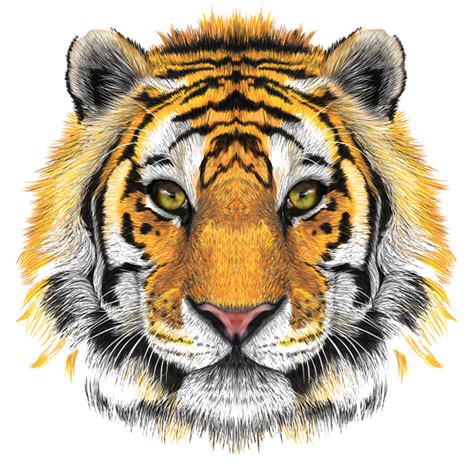 Tiger Head Transparent Clip Art Image Gallery