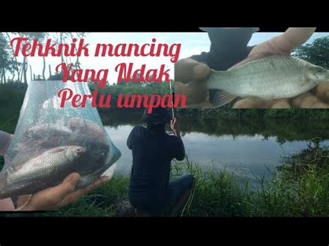 Mancing Anti Boncos Tampa Umpan Rudi Fishing Petualang YouTube