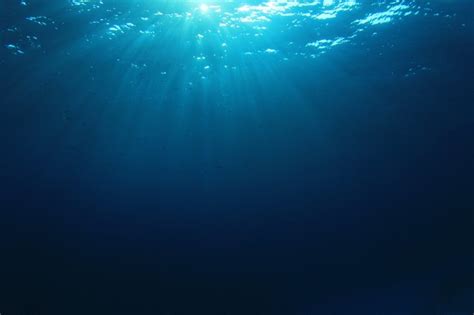 30 Reasons Why The Ocean Is Scarier Than Space