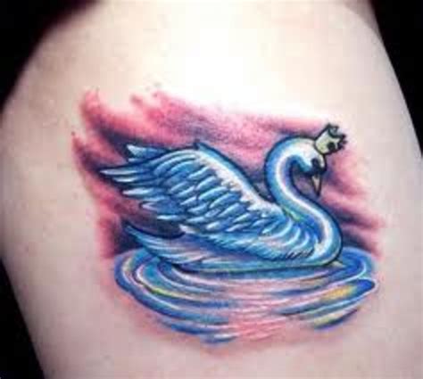 White And Black Swan Tattoos And History Swan Tattoo Meanings Swan