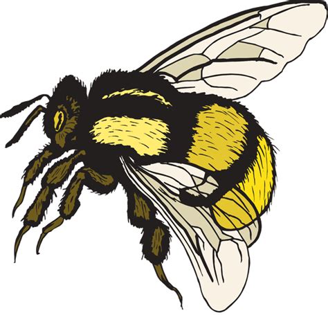 Clip Art Bumble Bee Pictures