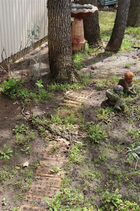 We did not find results for: How Does Your Garden Grow - Decor to Adore