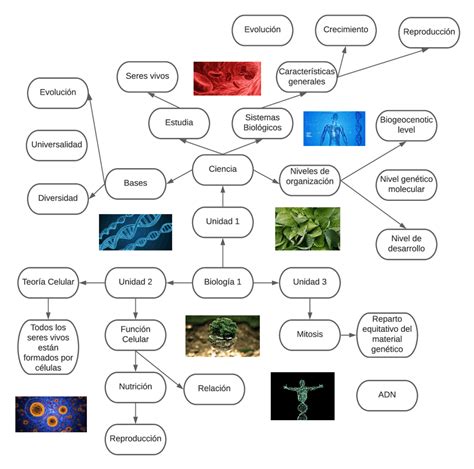 mapa conceptual tema 14 biología celular necrosis oncosis porn sex picture