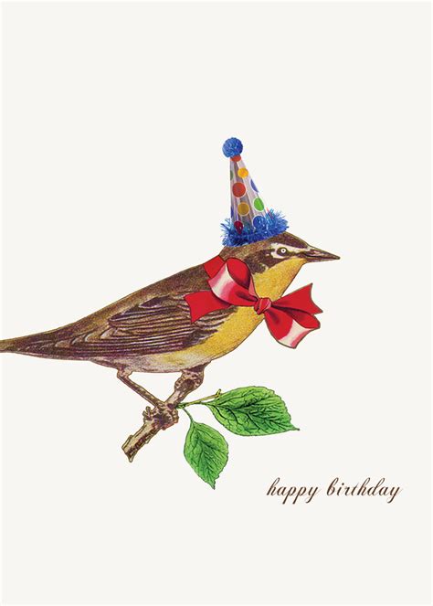 Happy Birthday Bird Greeting Card P Flynn Design