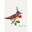 Happy Birthday Bird  Greeting Card – P Flynn Design