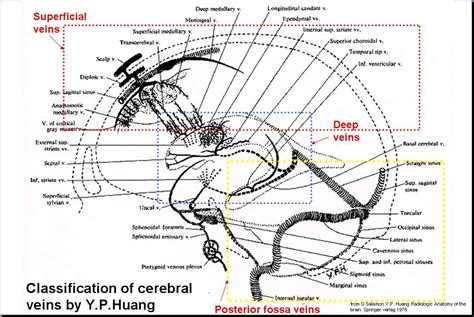 Salamons Neuroanatomy And Neurovasculature Web Atlas Resource Atlas