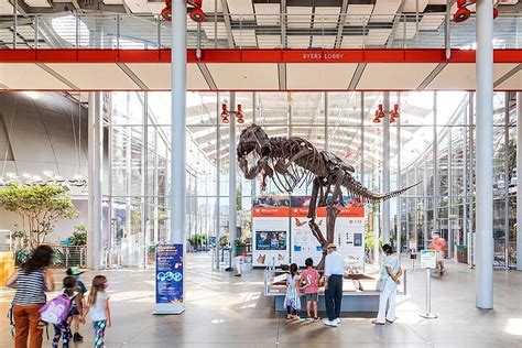 2023 California Academy Of Sciences General Admission Ticket
