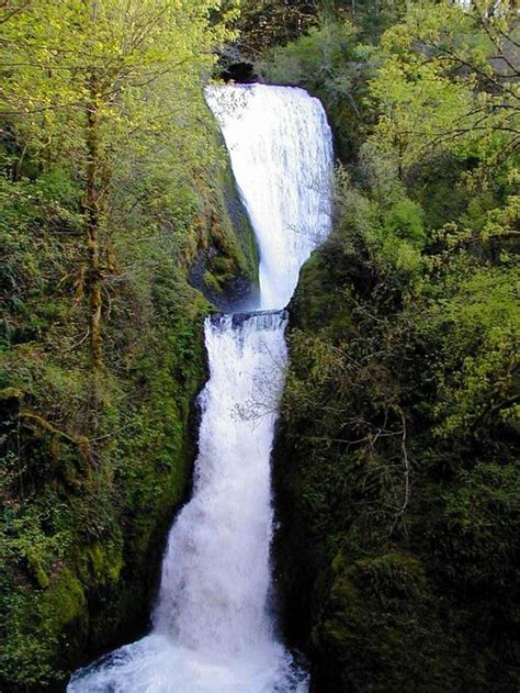 Bridal Veil Falls Hike Hiking In Portland Oregon And Washington