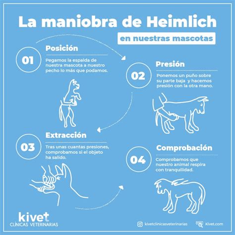 Aprende A Realizar La Maniobra Heimlich En Mascotas Kivet