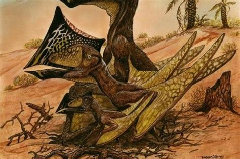 New Type Of Ancient Flying Reptile Discovered In Brazil